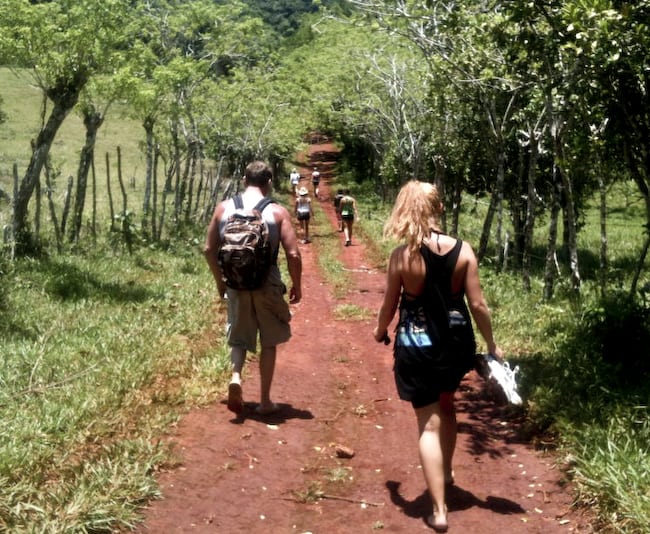 people on a jungle hike