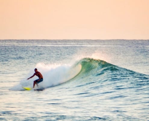 encuentro surfing